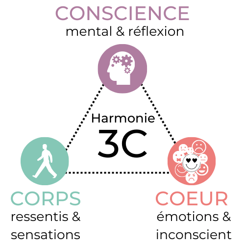 Harmonie 3C - Conscience : mental & réflexion - Corps : ressentis & sensations - Cœur : émotions & inconscient