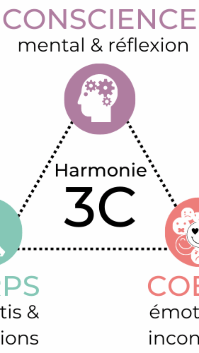 Découvrez l&rsquo;Harmonie 3C : votre voyage vers l&rsquo;équilibre intérieur